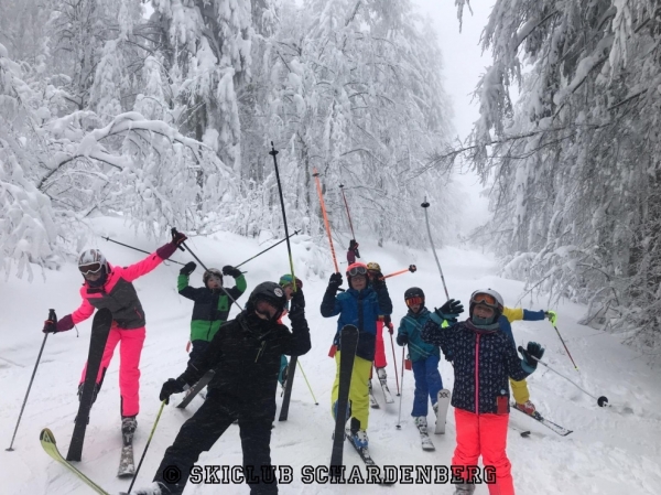 Fortgeschrittenen Skikurs 2019